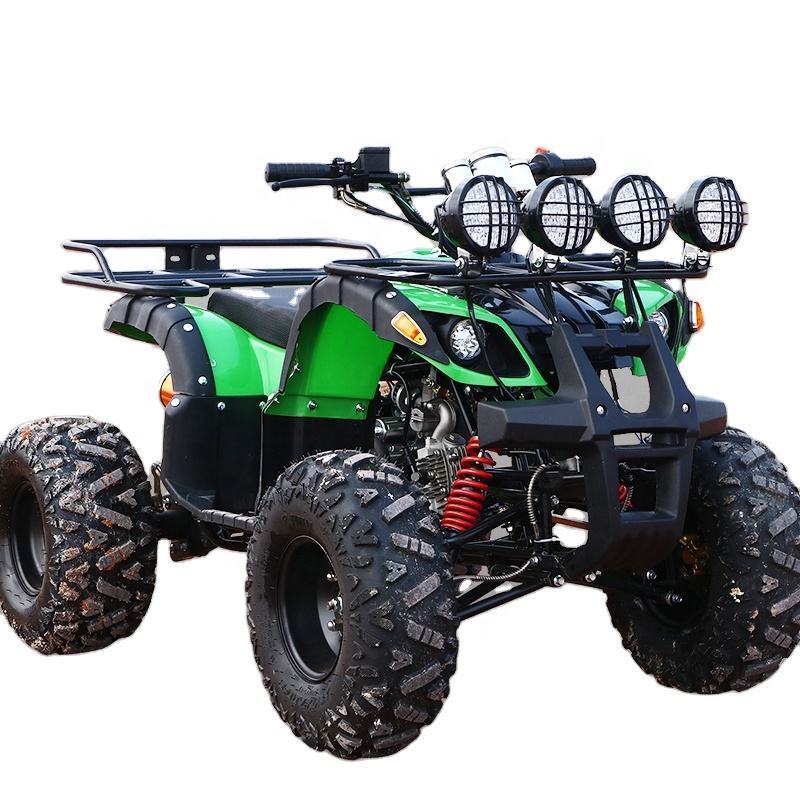 Wholesale 2024 2000W/3000W /6000W Adult Electric ATV Quad Bike ATV 60v Electric ATV Quad Bike