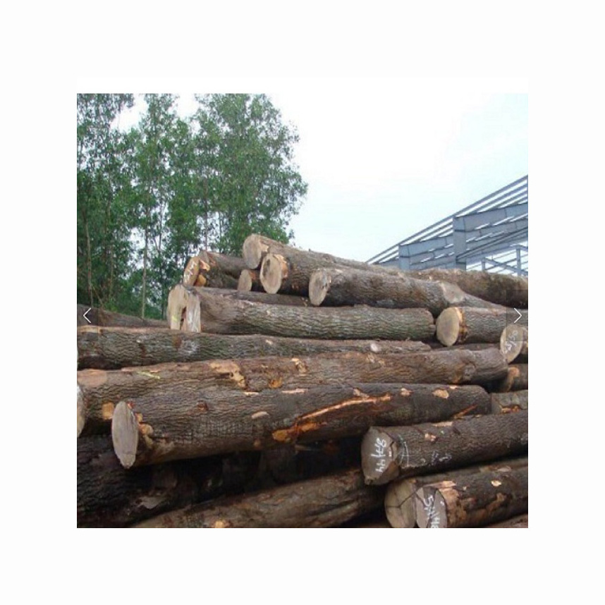 Hot sale Pine Sawn Wood Logs, Timber, Iroko, Bolinga, Oak logs of All Kinds