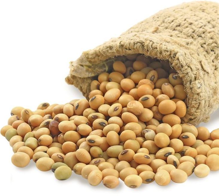 Soybeans High Quality Non GMO Yellow Dry Soybean Seed NON-GMO Soya Beans