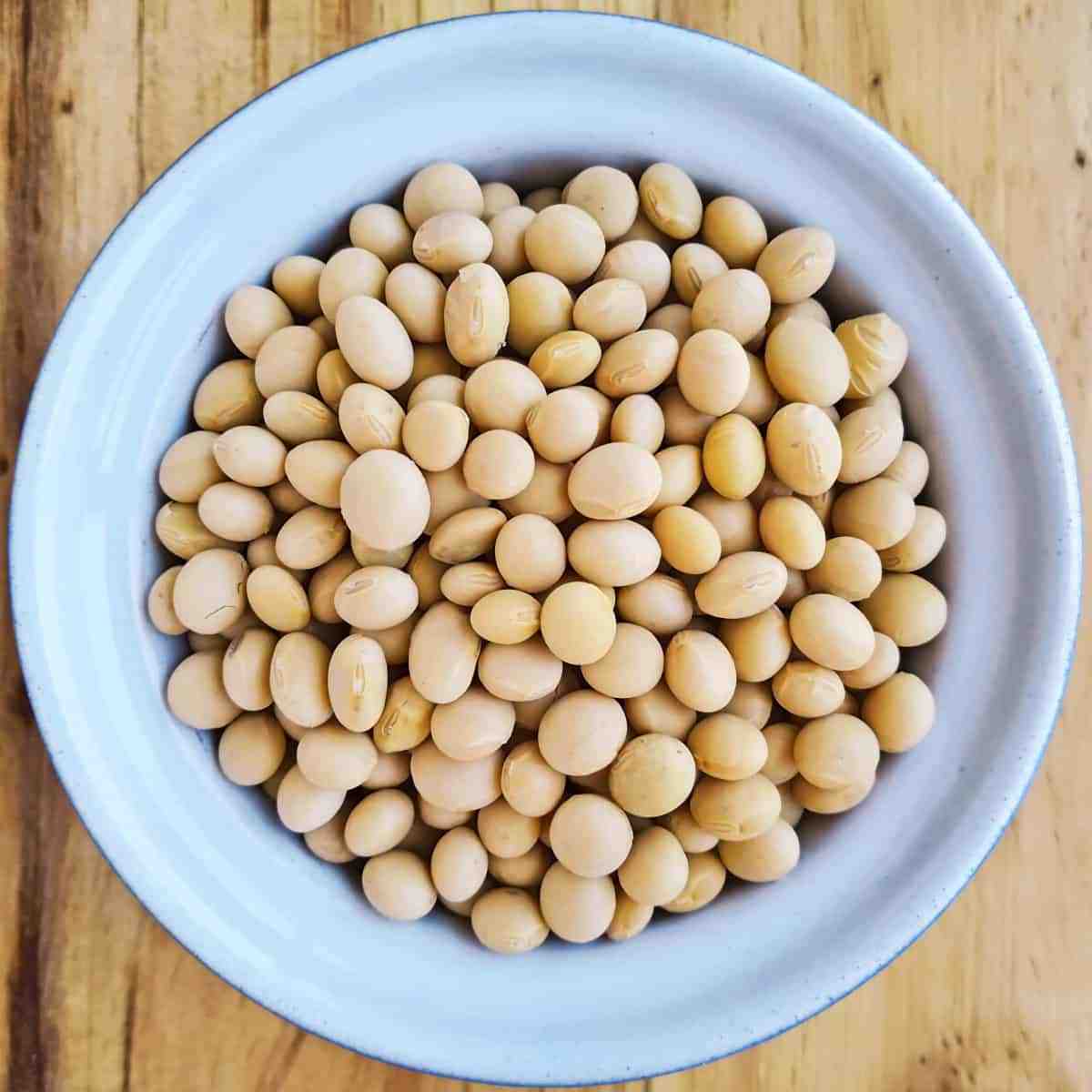 Good Quality NON GMO Soya Beans for Sale Yellow Soybeans - Soybeans for the best market rates