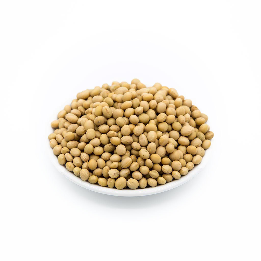 Good Quality NON GMO Soya Beans for Sale Yellow Soybeans - Soybeans for the best market rates