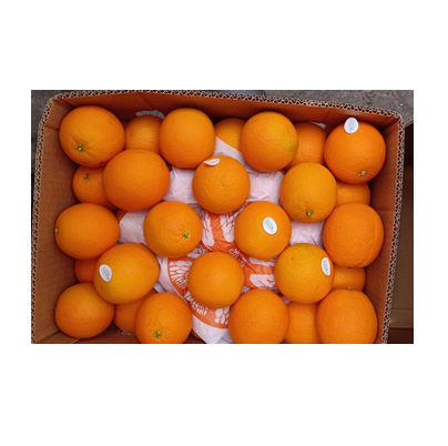 Fresh Citrus Mandarin Fruits | Naval oranges | Lemons | valencia orange