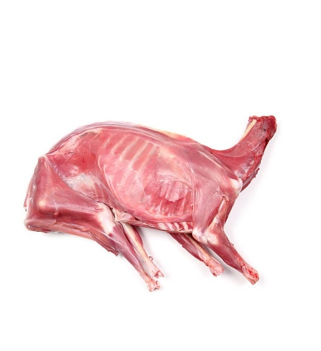 HALAL FRESH FROZEN GOAT/ MUTTON MEAT/ LAMB MEAT CARCASS FROM VERIFIED SUPPLIER