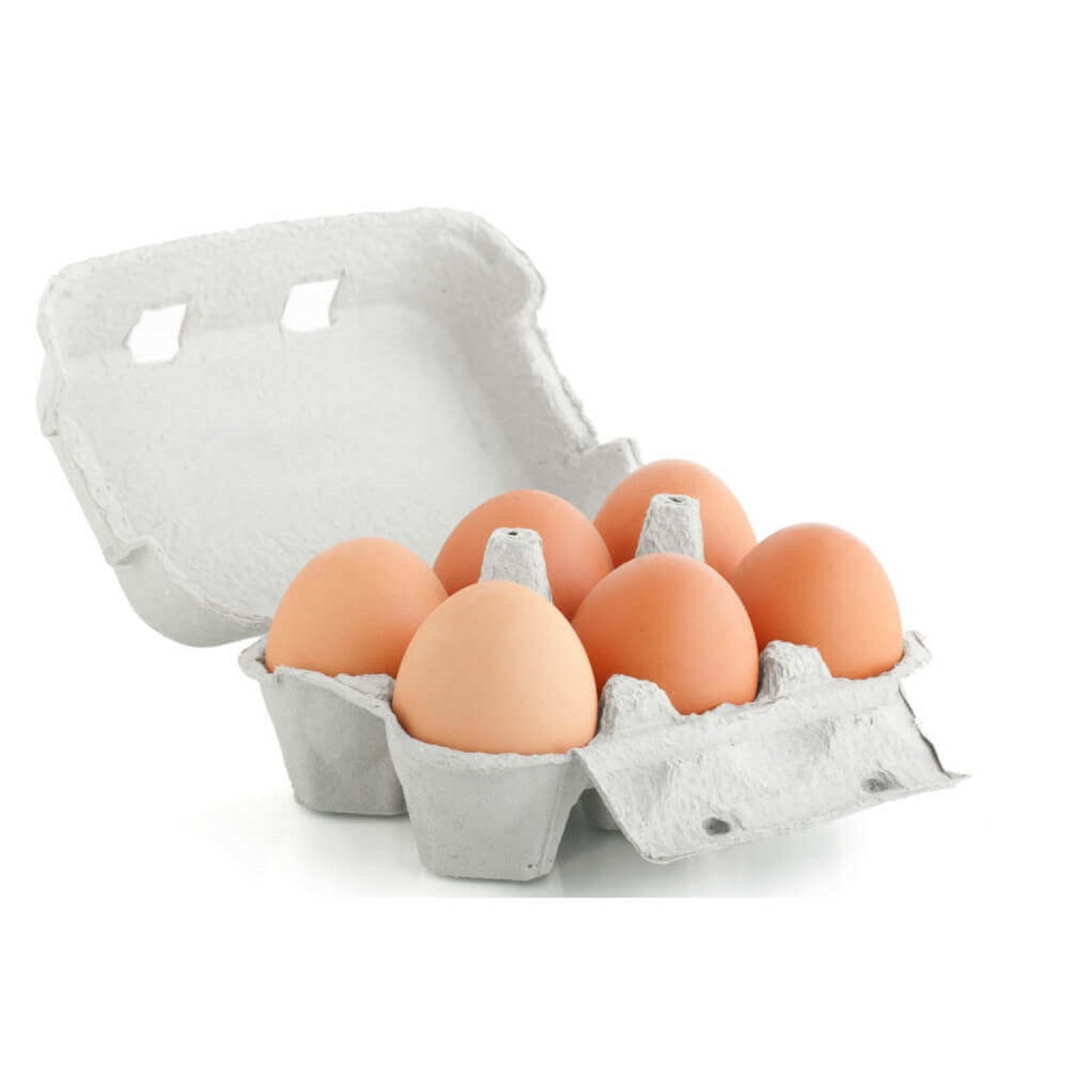 Hot sale Fertilized Chicken Eggs/ Cobb 500 Broiler Chicken Eggs/Fresh Cobb 700 Fertile eggs