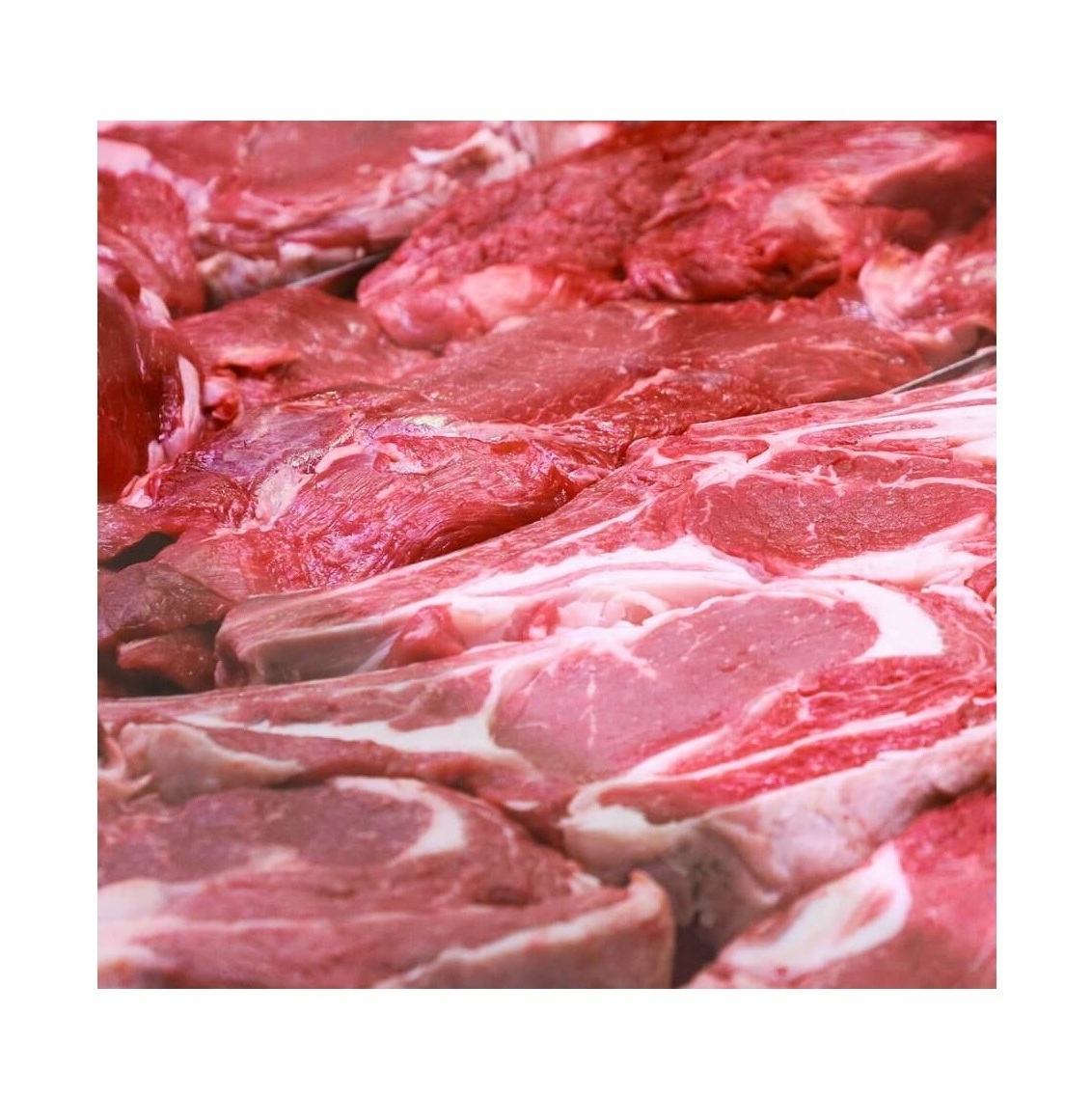 Buy Quality Halal Frozen/Fresh Camel Meat Wholesale Price