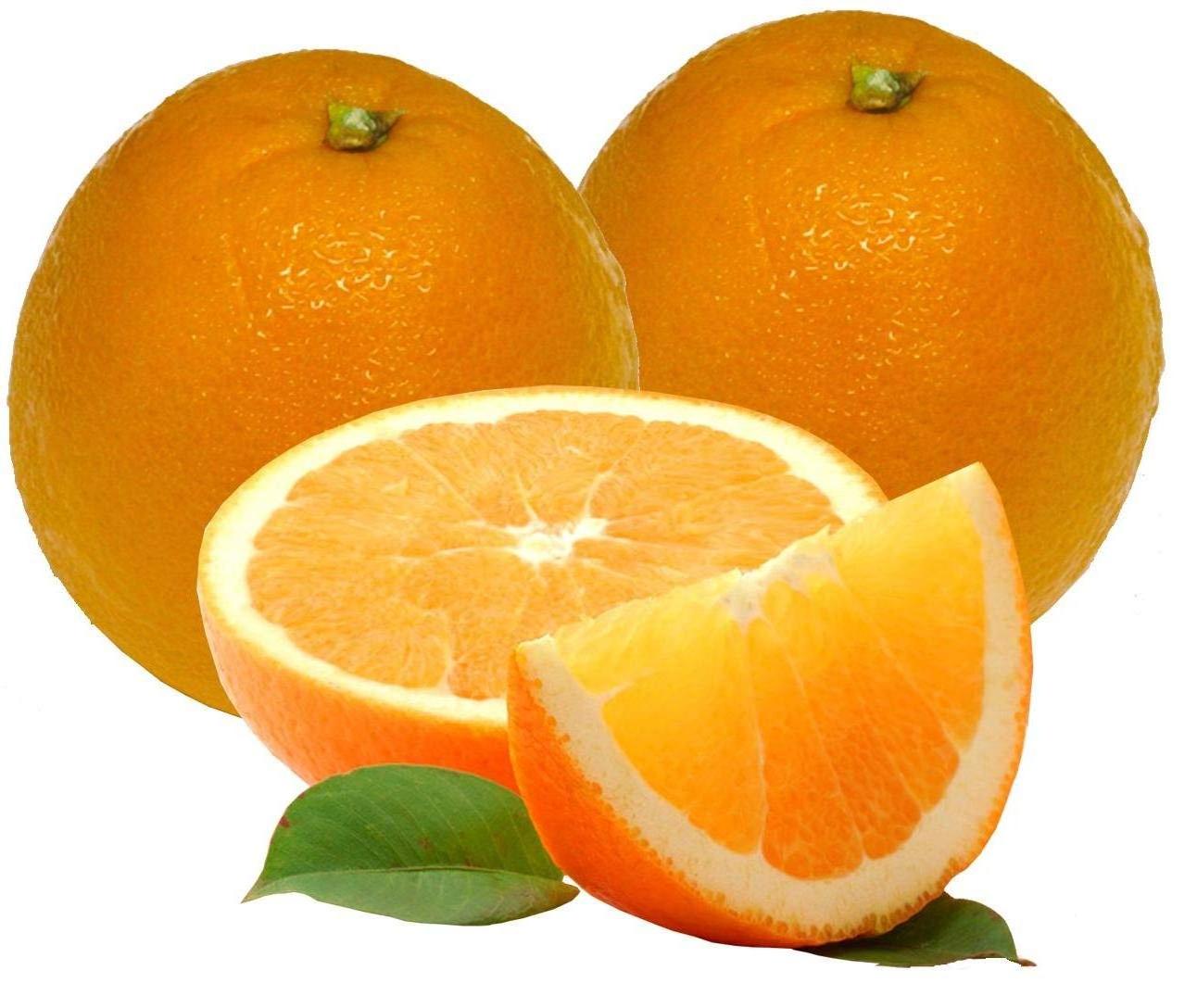 100% Pure Natural Fresh Citrus Naval Oranges, Valencia Orange, Lemons, Mandarins Supplier Ready For Export