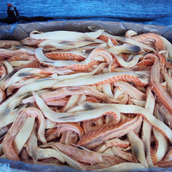 Salmon Fish Heads Frozen Salmon Heads / Salmon Fins / Salmon Belly supplier from Norway