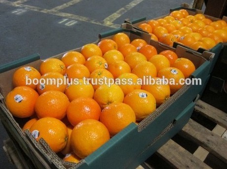 100% Pure Natural Fresh Citrus Naval Oranges, Valencia Orange, Lemons, Mandarins Supplier Ready For Export