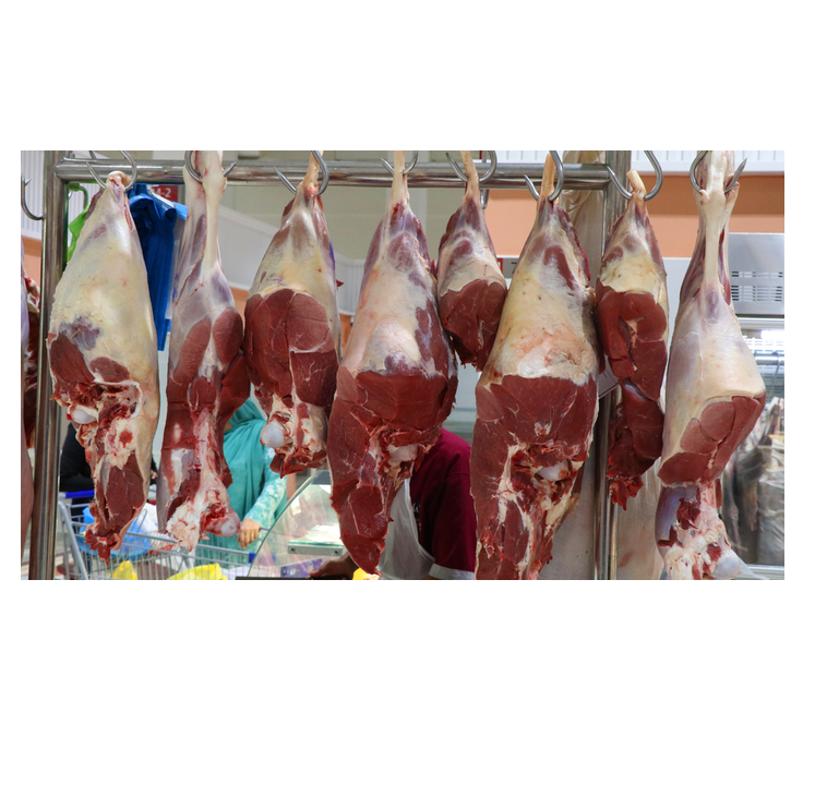 HALAL FROZEN BONELESS BEEF MEAT/MUTTON/GOAT MEAT