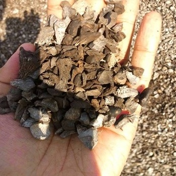 Palm Kernel Shell(PKS)/Coconut Shell/Palm Kernel Shell Charcoal supplier