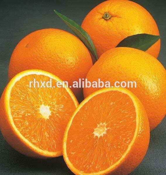 100% Pure Natural Fresh Citrus Naval Oranges, Valencia Orange, Lemons, Mandarins Supplier Ready For Export