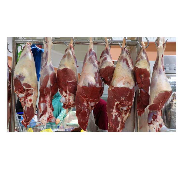 Hot Sales HALAL FRESH FROZEN GOAT/ MUTTON MEAT/ LAMB MEAT CARCASS