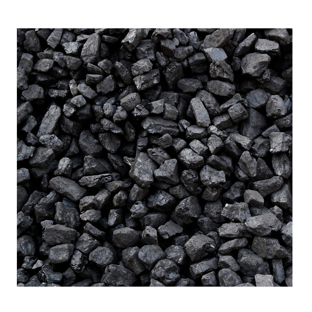 Premium Quality BBQ Charcoal Natural COAL Charcoal Bulk Stock At Wholesale Cheap Price