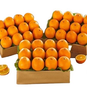 100% Pure Natural Fresh Citrus Naval Oranges, Valencia Orange, Lemons, Mandarins Supplier Ready For Export