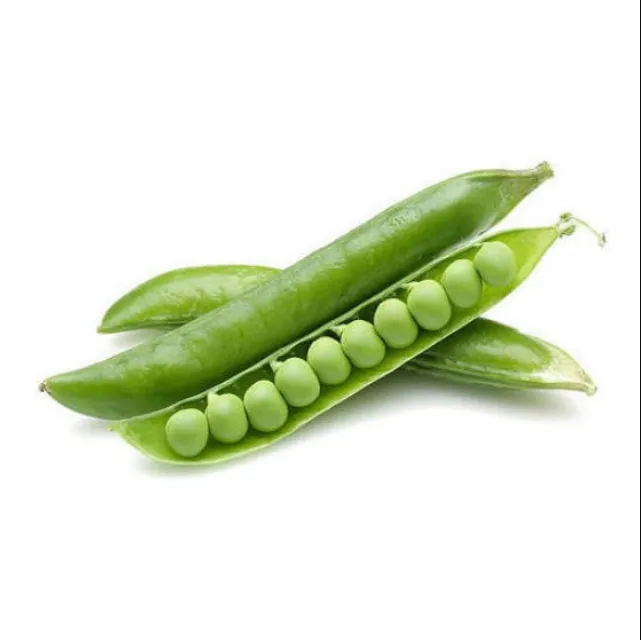 Natural Grade Organic Green Peas Hot Sale Factory Price Green Peas Supplier From France