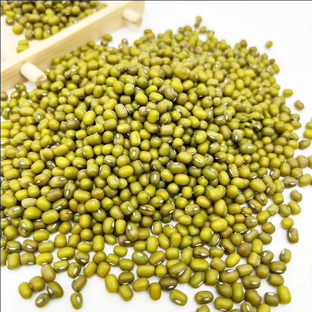 Green Moong Dal - Moong dal - Green mung beans - High quality green mung beans from France