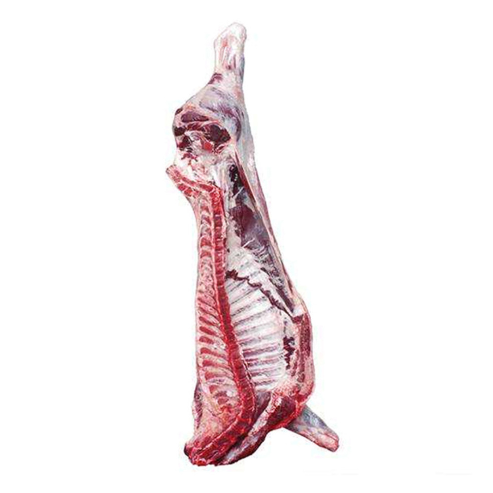 Wholesale Of Frozen Camel Meat Frozen Halal Camel Meat boneless camel blade