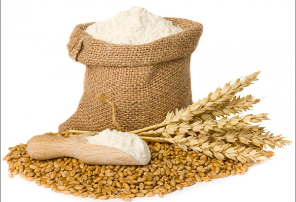 Great quality white wheat flour product\ All-Purpose Flour