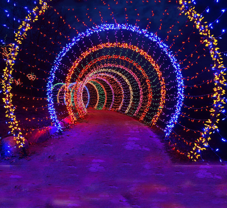 outdoor Christmas Holiday Illuminated Tunnel Lights Geometric Metal Arch Door Tunnel background road guide for event