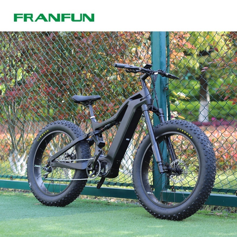 FRANFUN Full suspension 1000W fat tire electric bike 1000w mid drive electric bicycle