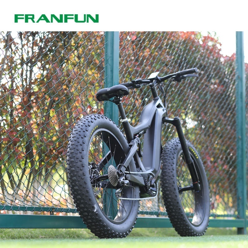 FRANFUN Full suspension 1000W fat tire electric bike 1000w mid drive electric bicycle