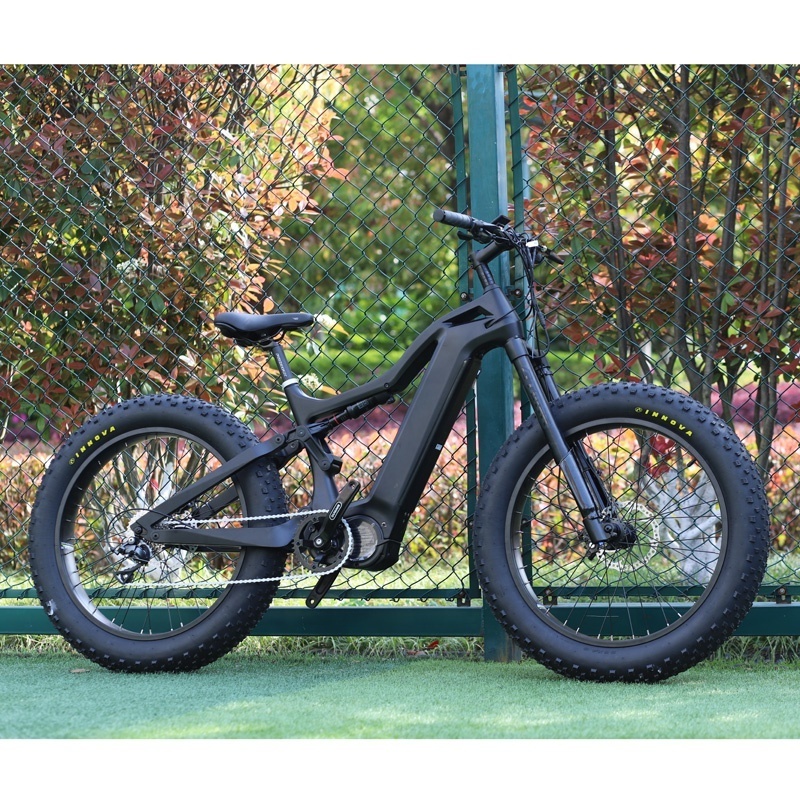 FRANFUN Full suspension 1000W fat tire electric bike 1000w mid drive electric bicycle