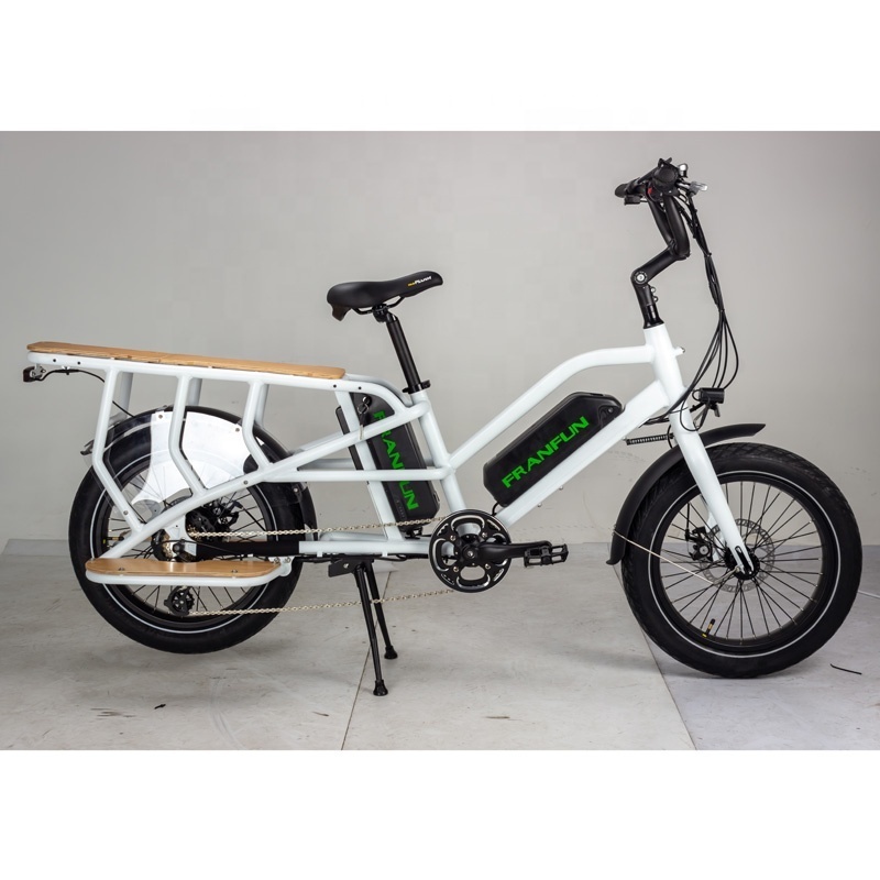 20 inch 750W Powerful Intelligent Mother child Commuting Electric bike with Twin battery