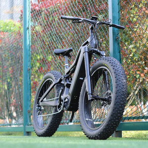 FRANFUN Full suspension 1000W fat tire electric bike 1000w mid drive electric bicycle