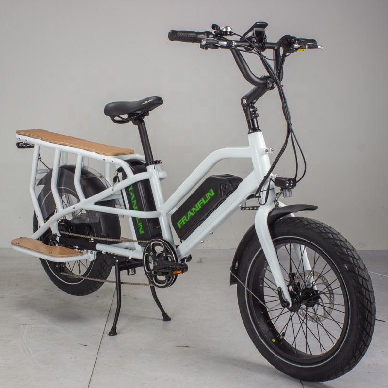 20 inch 750W Powerful Intelligent Mother child Commuting Electric bike with Twin battery