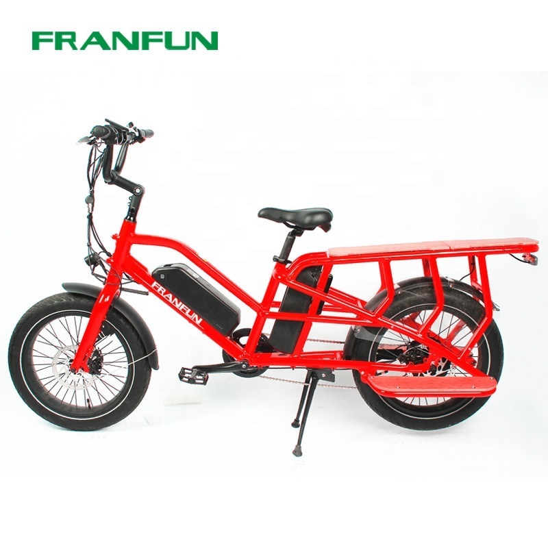 20 inch 750W Powerful Intelligent Mother child Commuting Electric bike with Twin battery