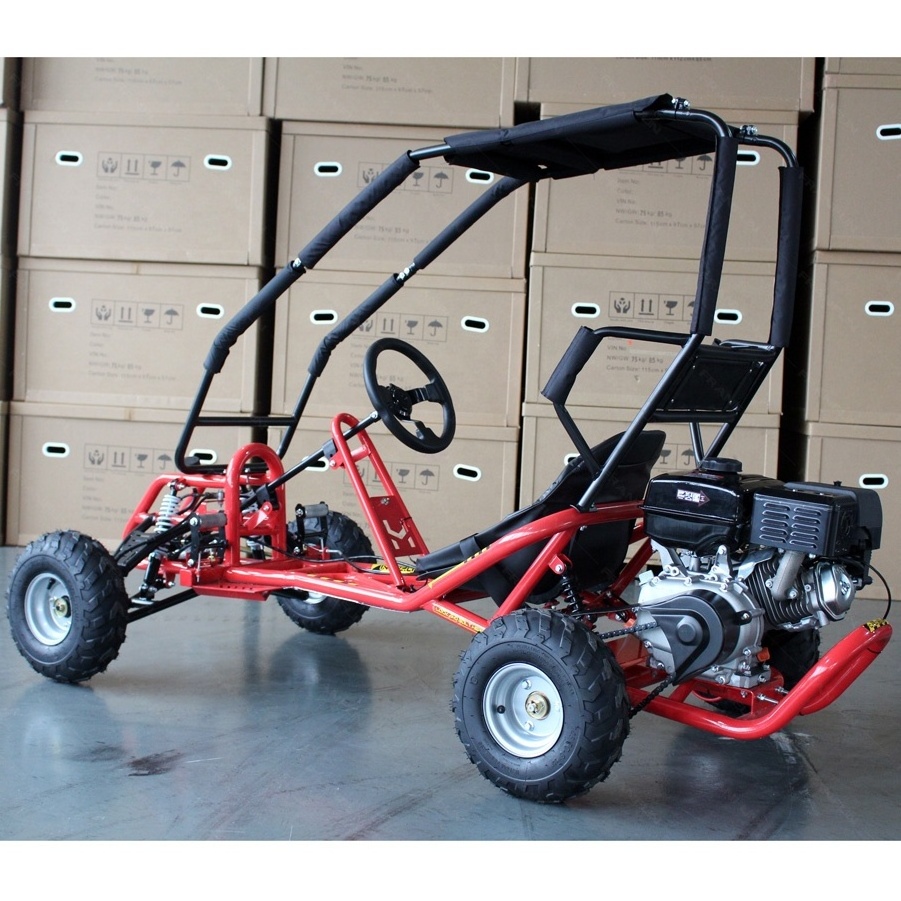 Passionate outdoor expedition buggy adults 270cc 4 stroke Beach cruiser go kart with roll cage