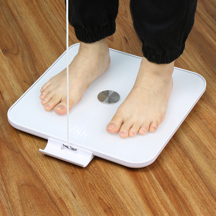 Factory Dropshipping Smart Fat Analyzer Body Composition ITO Electronic Scale