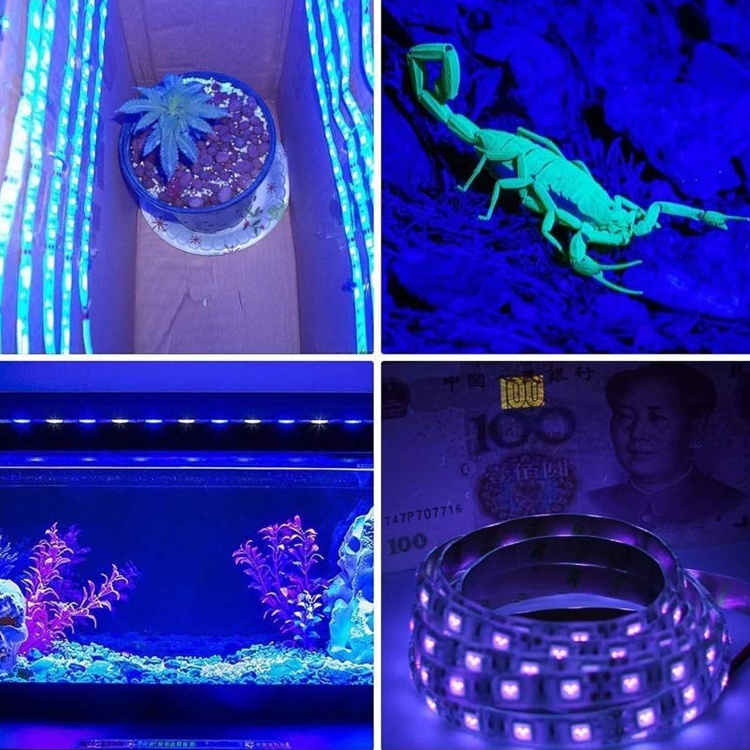 UV Light Strip USB UV Black Led Strip Light 390nm-400nm Super Bright Uv Strip for Fluorescent Dark Party