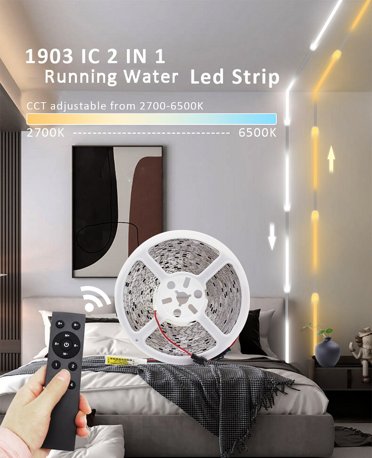 Dual Color CCT Chasing Running Water Warm Cool White Digital Led Strip Flowing CW WW Double Color 24V 2835 LED Strip Lights