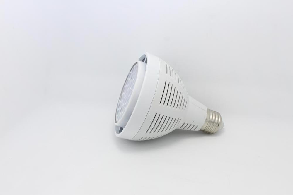 CE RoHs High Efficiency E27 Base LED Spotlight 20W 30W COB LED Lamp  PAR30 Bulb