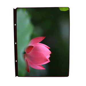 new supper color 8 inch 2480x1860 resolution high contrast ratio oled amoled display with capacitive touch