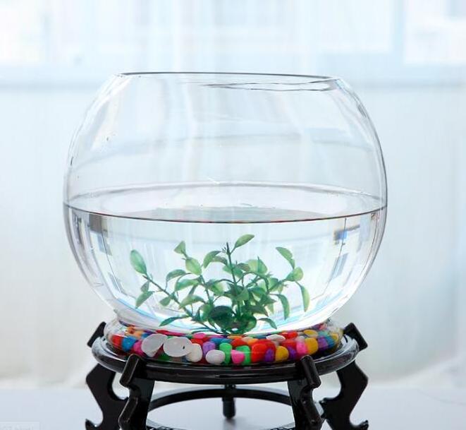 wholesale clear large small round glass fish bowl