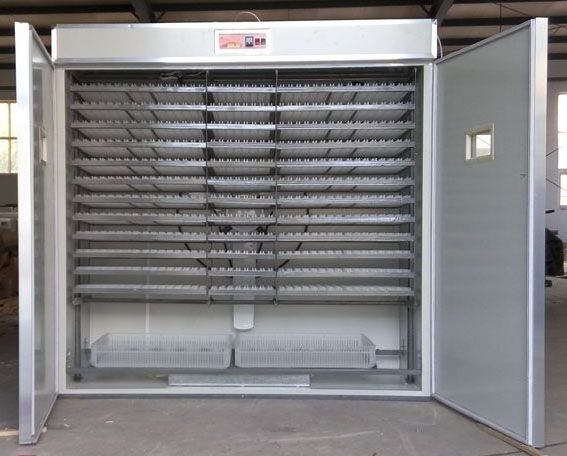 fully auto automatic portable small mini lab 20 88 250 300 1000 quail parrot eggs tray incubator for hatching egg