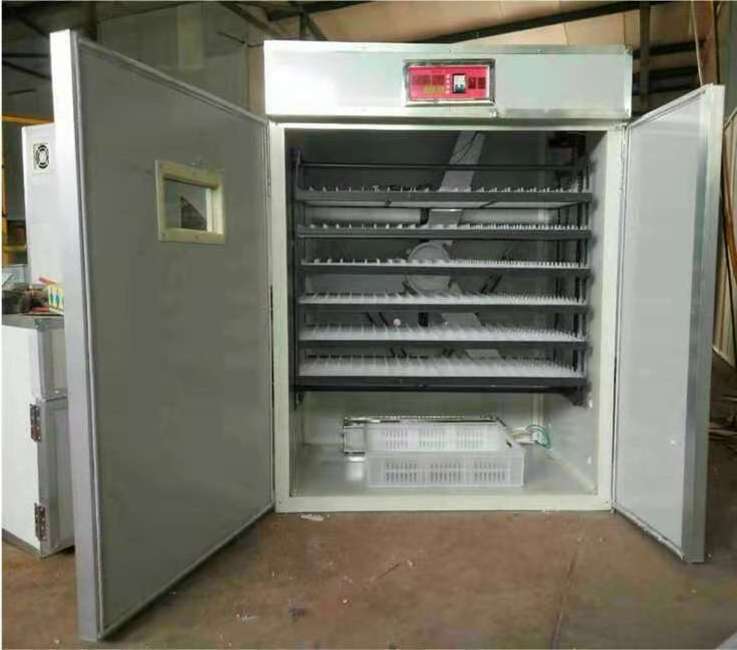 fully auto automatic portable small mini lab 20 88 250 300 1000 quail parrot eggs tray incubator for hatching egg