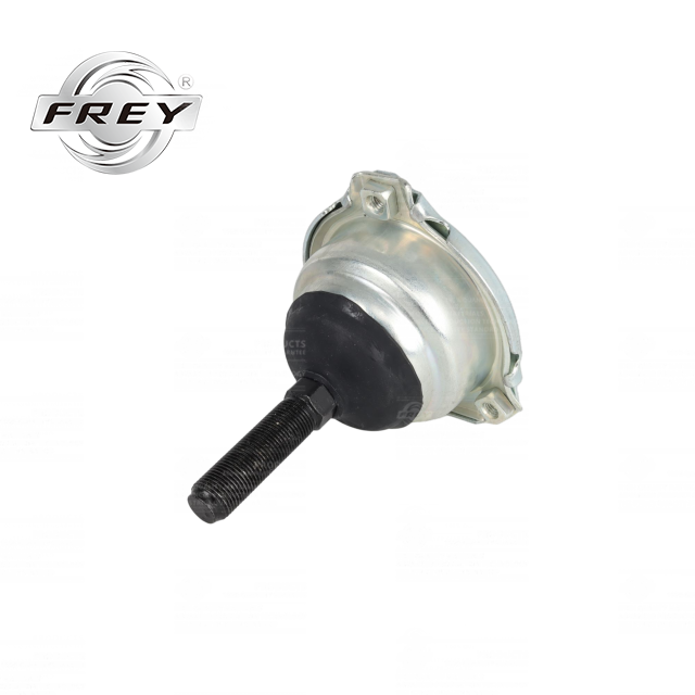 1233301335 Ball Joint for Mercedes Benz W123 Frey Auto Spare Parts