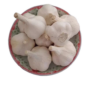 China exporter wholesale frozen crushed garlic cubes fresh chinese solo garlic pure white garlic