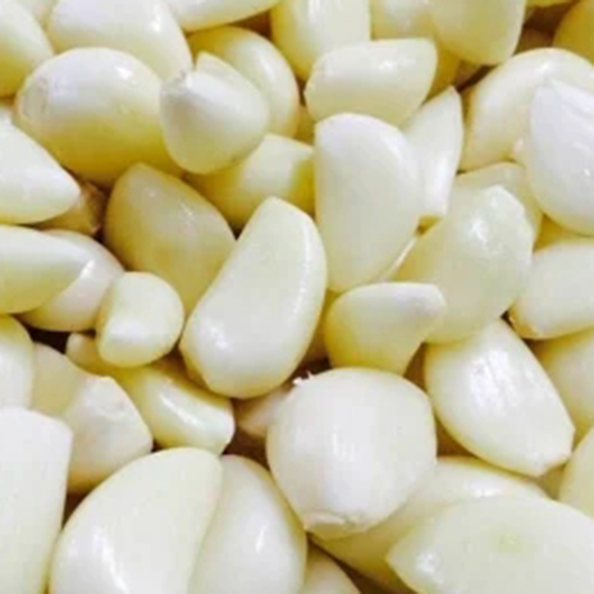 Wholesale Garlic Peeled Jumbo Size Normal White Pure White Fresh Garlic With Vacuum Pack Peeled Garlic