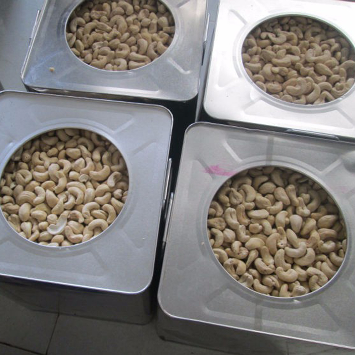 High Quality Best Prices Dried Fruit W450 WW450 Raw Roasted Cashew Nuts For nut & kernel snacks