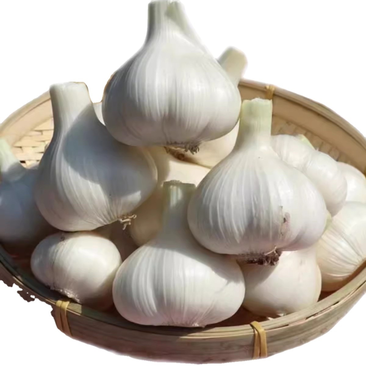 China exporter wholesale frozen crushed garlic cubes fresh chinese solo garlic pure white garlic