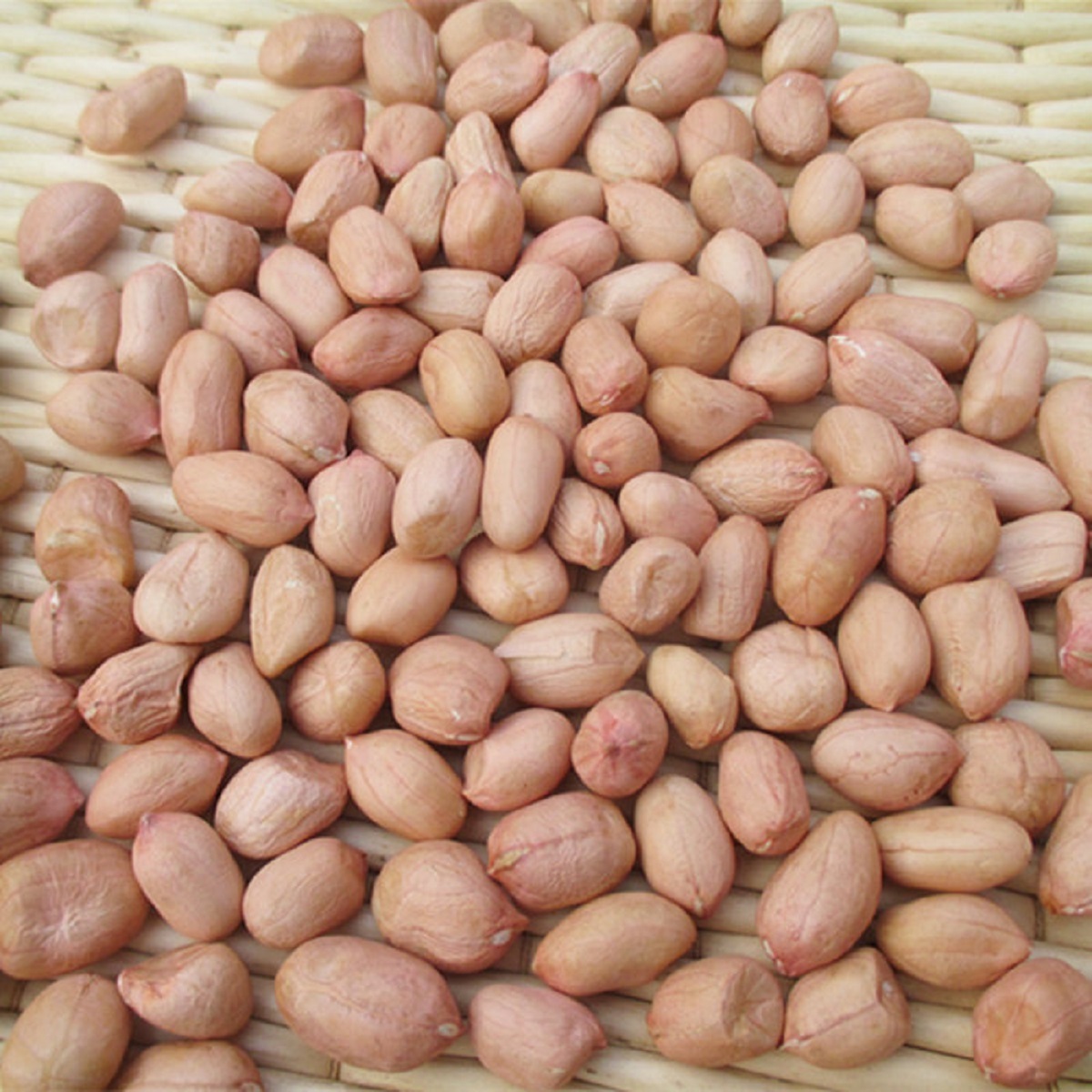 2023 New Crop High Quality Dried Raw Peanut Kernels/Brazil Peanuts Packing Peanuts Foam Eco-Friendly