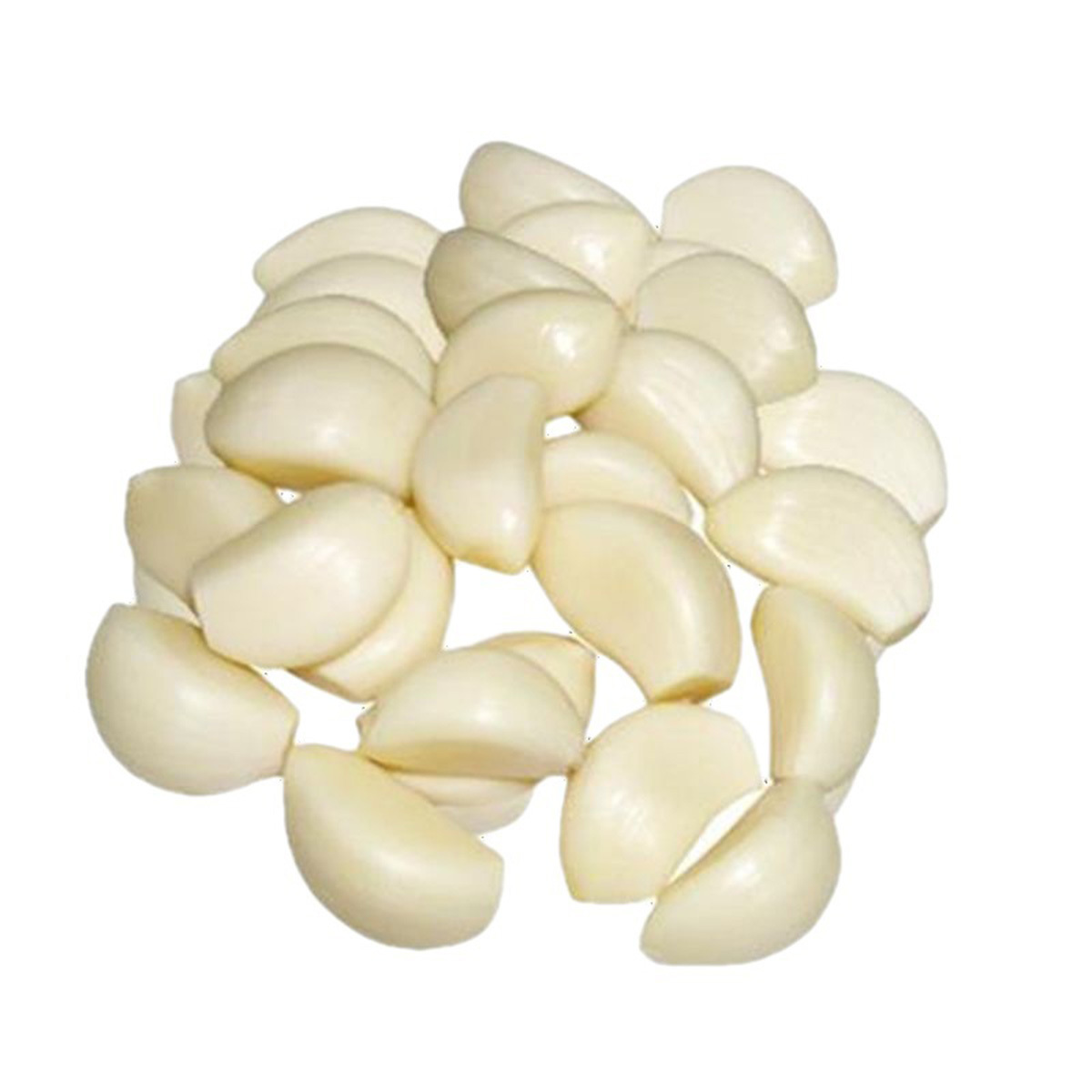 Wholesale Top Quality Peeled Garlic Cloves Fresh Peeled Garlic Fresh Garlic With Packing Vacuum Nitrogen