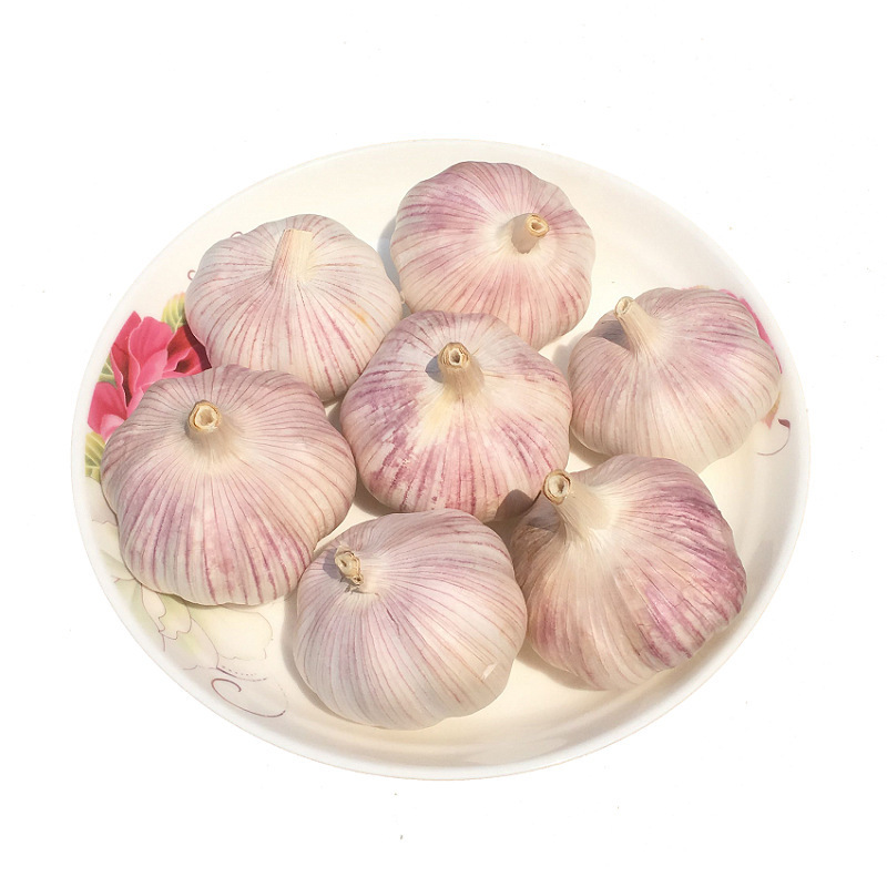 Wholesale Garlic Peeled Jumbo Size Normal White Pure White Fresh Garlic With Vacuum Pack Peeled Garlic