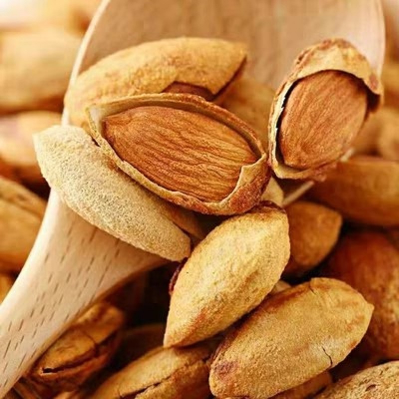 Wholesale Dried Raw Almond in Shell Badam Natural Flavor Almond Nuts High Quality Nuts in Bulk