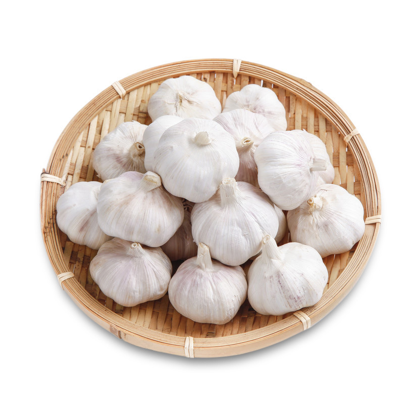 Wholesale Garlic Peeled Jumbo Size Normal White Pure White Fresh Garlic With Vacuum Pack Peeled Garlic