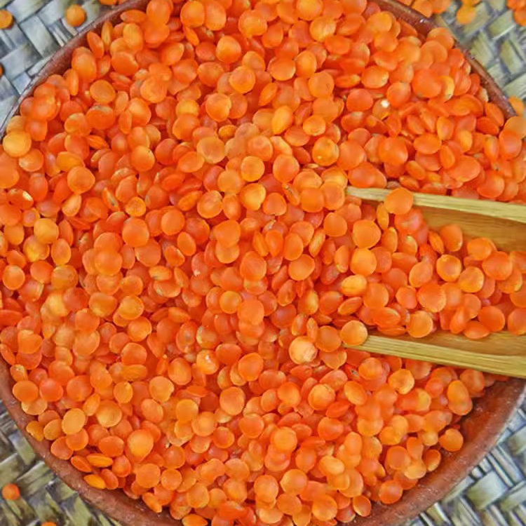 Cheapest Prices Wholesale Red Split Lentils Red Lentils Price Good Bulk Australian Red Lentils For Make Food Beverage